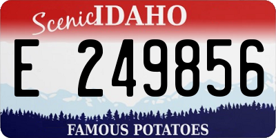 ID license plate E249856