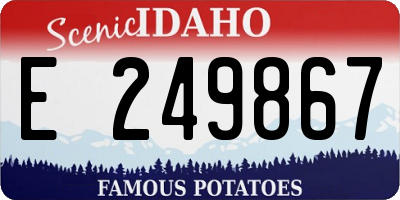 ID license plate E249867