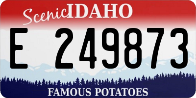 ID license plate E249873