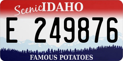ID license plate E249876