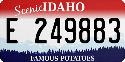 ID license plate E249883
