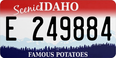 ID license plate E249884