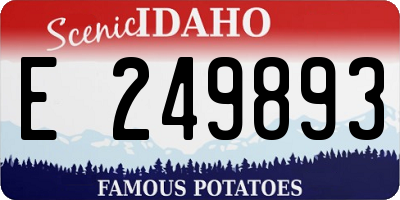 ID license plate E249893