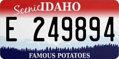 ID license plate E249894