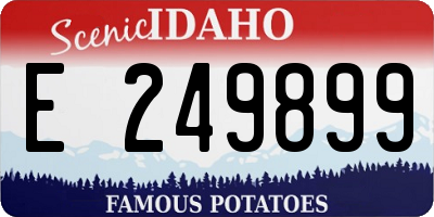 ID license plate E249899