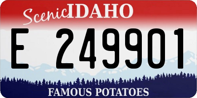 ID license plate E249901