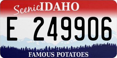 ID license plate E249906