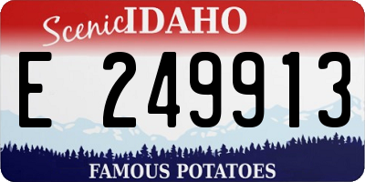 ID license plate E249913