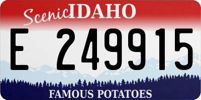 ID license plate E249915