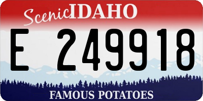 ID license plate E249918