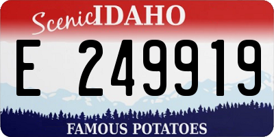 ID license plate E249919