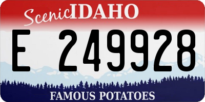 ID license plate E249928