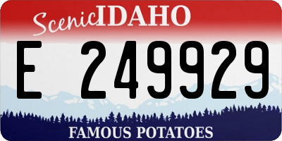 ID license plate E249929
