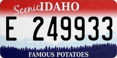 ID license plate E249933