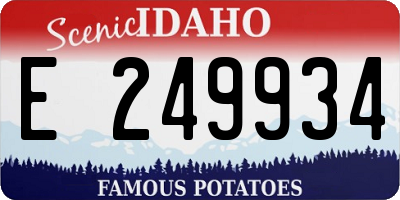 ID license plate E249934