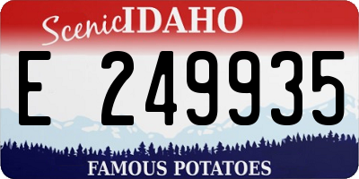 ID license plate E249935