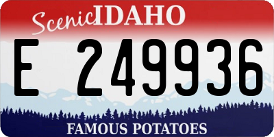 ID license plate E249936