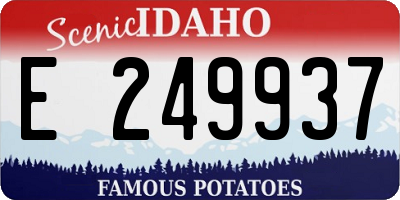 ID license plate E249937