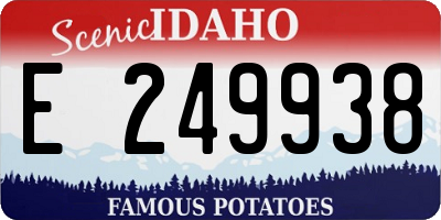 ID license plate E249938