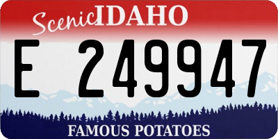 ID license plate E249947