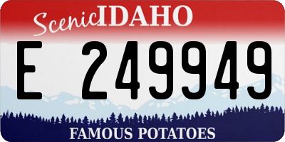 ID license plate E249949