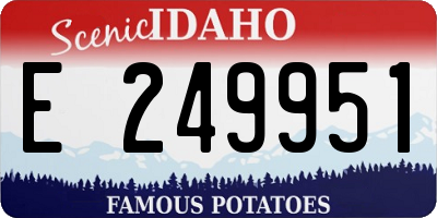 ID license plate E249951