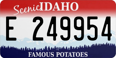 ID license plate E249954