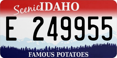 ID license plate E249955