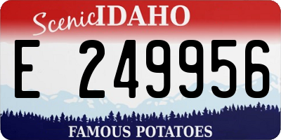 ID license plate E249956