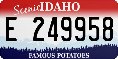 ID license plate E249958