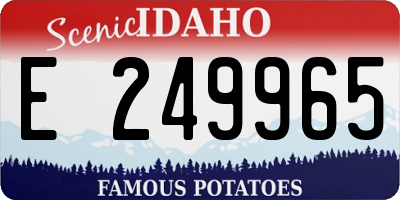 ID license plate E249965
