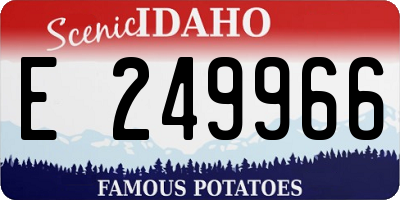 ID license plate E249966