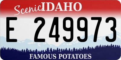 ID license plate E249973