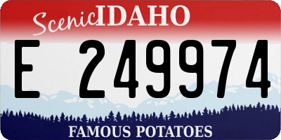 ID license plate E249974