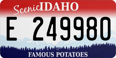 ID license plate E249980