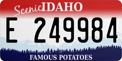 ID license plate E249984