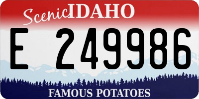 ID license plate E249986