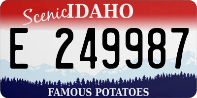 ID license plate E249987