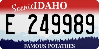 ID license plate E249989