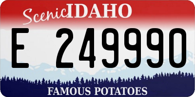 ID license plate E249990