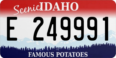 ID license plate E249991