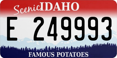 ID license plate E249993