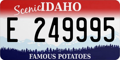 ID license plate E249995