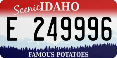 ID license plate E249996