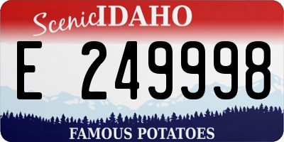 ID license plate E249998