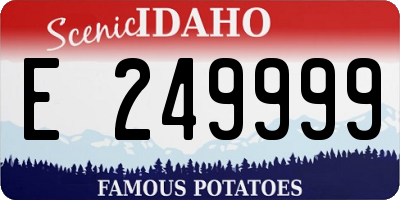 ID license plate E249999