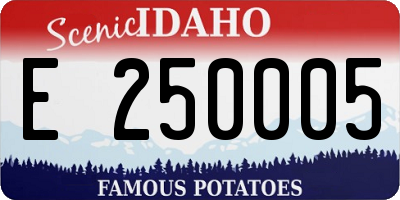 ID license plate E250005