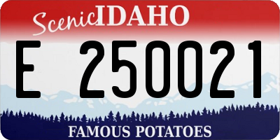 ID license plate E250021