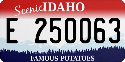 ID license plate E250063