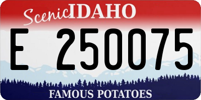 ID license plate E250075